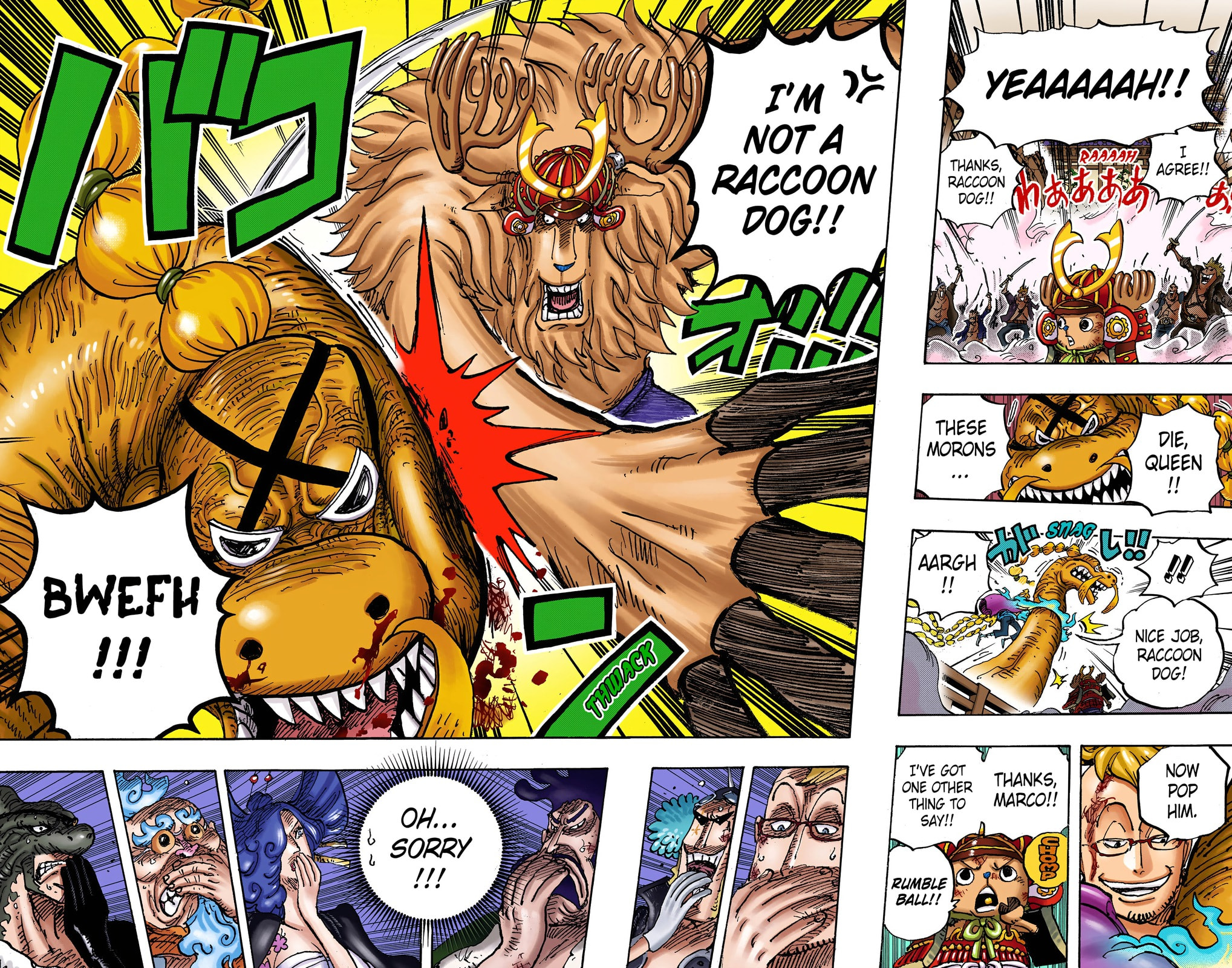 One Piece Digital Colored Chapter 1007 image 12